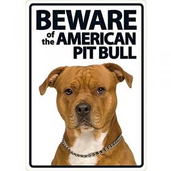 Pit Bull Warning Magnet