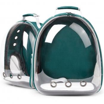 Transparent Pet Carrier