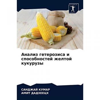 Анализ гетерозиса и способностей желтой кукурузы