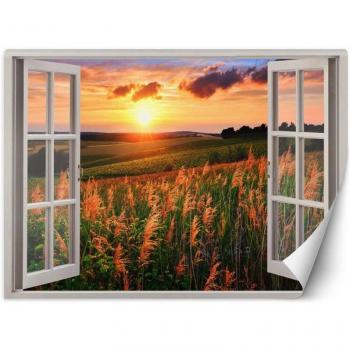 Fenêtre vue prairie coucher soleil