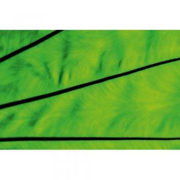 Calvendo – Strukturierte Landschafts‑Leinwand 45x30 cm