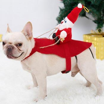 Papá Noel Canino Montado