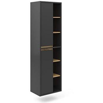 Vicco - Armadio per il bagno Viola, Antracite, 50 x 170 cm con ante e vani a giorno