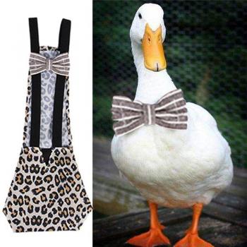 Elastic Band Poultry Diaper for Chickens and Ducks - S/M/L