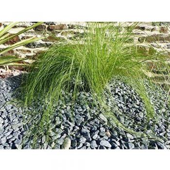 ClassGarden Galets Noirs Mat - 10 Sacs de 5 m²