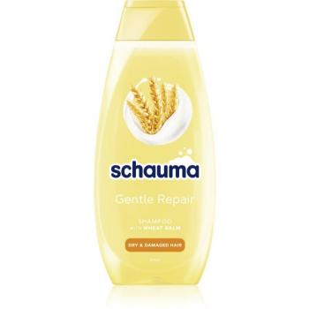 Schauma Gentle Repair Shampoo Trattante Delicato per Capelli Secchi e Danneggiati 400 ml