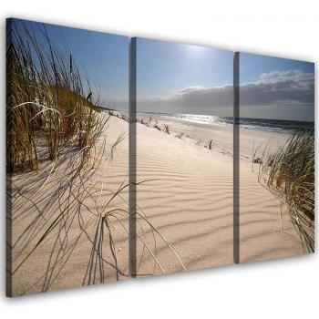 Tessuto Tre Parti Spiaggia Dune Mediterraneo Natura 60x40 Beige