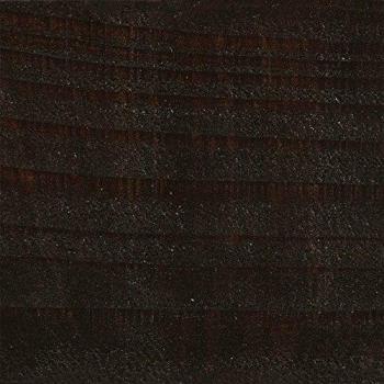 Protek Royal Interior Paint – 5L – Giddy Green