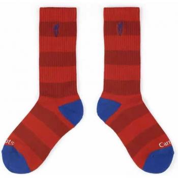 Calcetines unisex de invierno con estampado de aguacate y zanahorias, 6 pares/lote