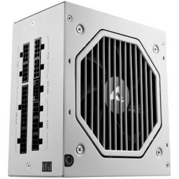Alimentatore Cybenetics Gold Rebel P20 850 W Fully Modular ATX 3.1 Bianco