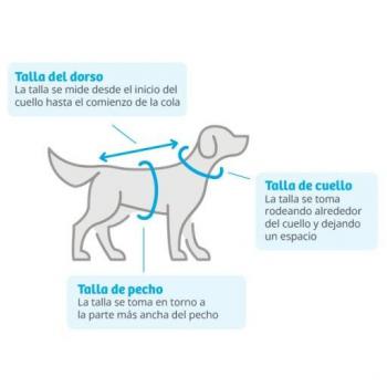 Nayeco pintado en punto 50 cm