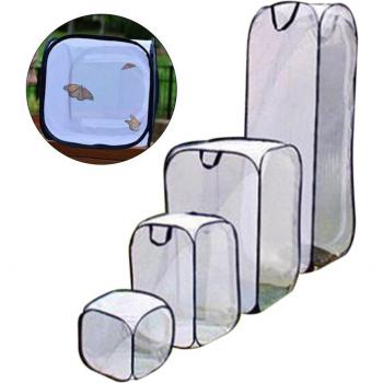 Insect Housing Enclosure for Praying Mantis
