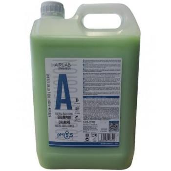 Champú Balance Natural Salerm 5100 ml