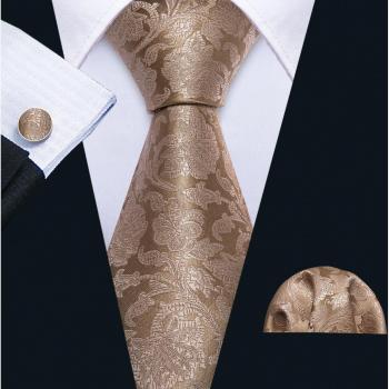 FA-271 Men's Yellow Paisley Silk Tie with Cufflinks