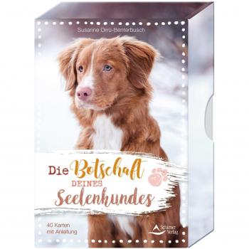 Die Botschaft deines Seelenhundes: 40 Karten mit Anleitung