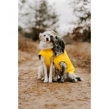 Milford Hunter 55 Cappotto Etereo per Cani