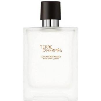 Hermès Terre D'Hermès Perfume 100ml