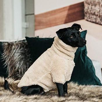 Kentucky Dogwear Sweat Teddy Fleece beige
