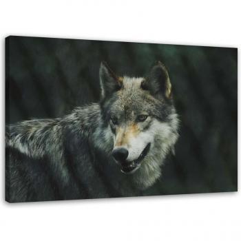 Grauer Wolf Landschaft Kunstwerk 60x40