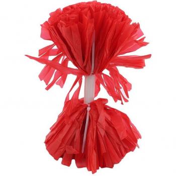 Pompón Deportivo Animador