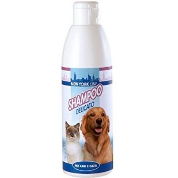 Best Friend New-York Gently Cleaning Shampoo 250ml