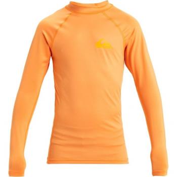Camiseta Quiksilver Everyday manga larga naranja niño - 10