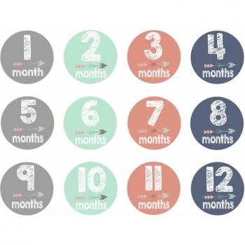 Pregnancy Monthly Photo Stickers - Milestone Stickers for Months 1-12