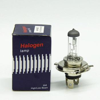 Super Weiß Halogenlampen für Auto 10 Stück