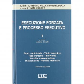 Esecuzione forzata e processo esecutivo