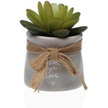 Maceta Versátil con Planta Suculenta: Diseño Dual Cerámica-Plástico
