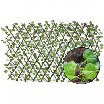 Retractable Garden Fence
