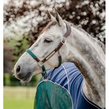 Horseware Signature Halfter aus Leder