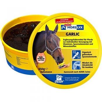 Knoblauchsauce Leckmasse Horslyx 650 g