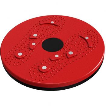 Twist and Shape Magnetic Exercise Disk