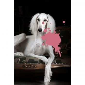 Acrylglasbild QUEENCE Hund, rosa, B:60cm H:90cm T:2,4cm