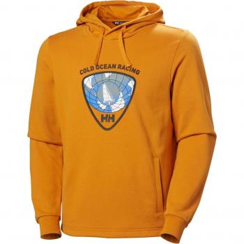 Helly Hansen Arctic Ocean 2.0 Hoodie