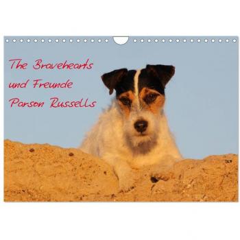 The Bravehearts und Freunde - Parson Russells (Wandkalender 2024 DIN A4 quer) CALVENDO Monatskalender