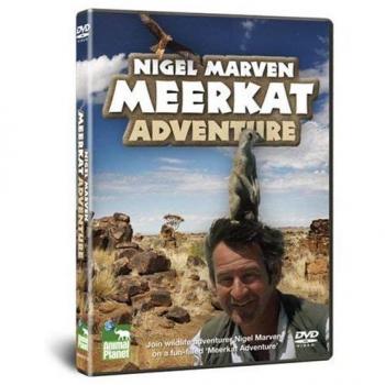 Suricats en périple – Nigel Marven