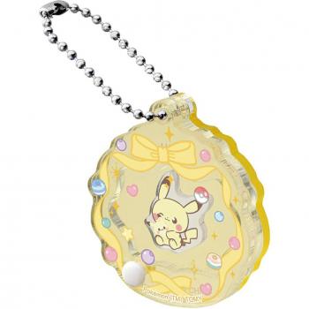 Pokemon Acrylic Cuddly Charm Set
