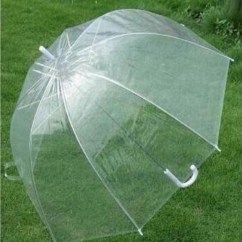Windfester klarer Kuppel-Prinzessin-Regenschirm