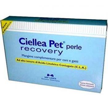 CIELLEA PET 30PRL