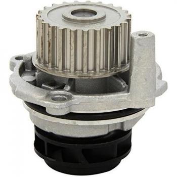 DOLZ A198 Kühlmittelpumpe