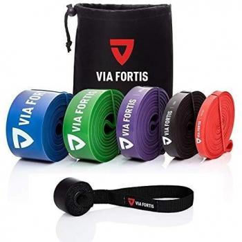 VIA FORTIS Premium Fitnessband/Klimmzugband und Klimmzughilfe