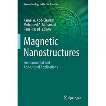 Magnetic Nanostructures