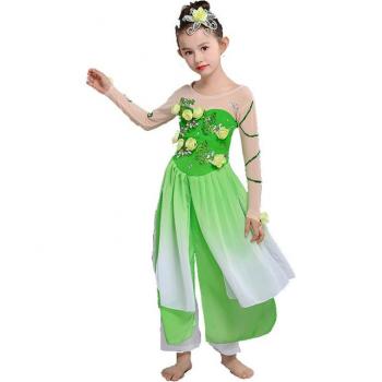 Children's Classical Dance Performance Costume