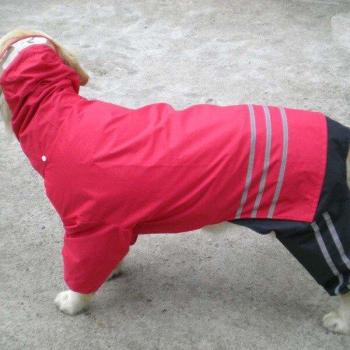 Imperméable Nylon Chiot Chic