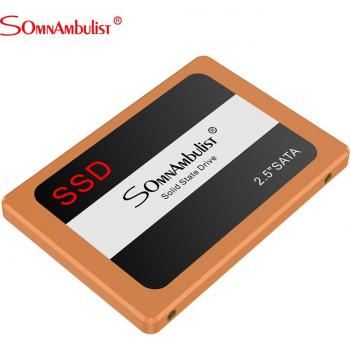 Somnambulist 2.5 Internal Solid State Drive (960GB)