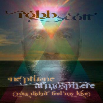 Neptune Atmosphere - You Didn't Feel My Love - Vinilo