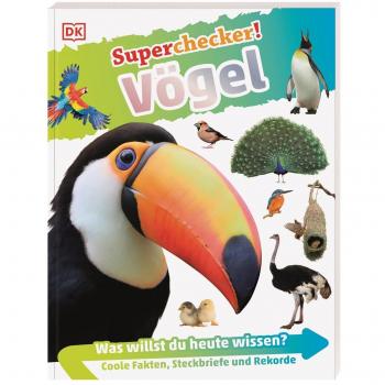 Vögel