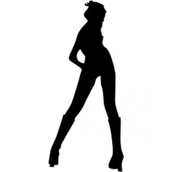 Removable Vinyl Toilet Stickers